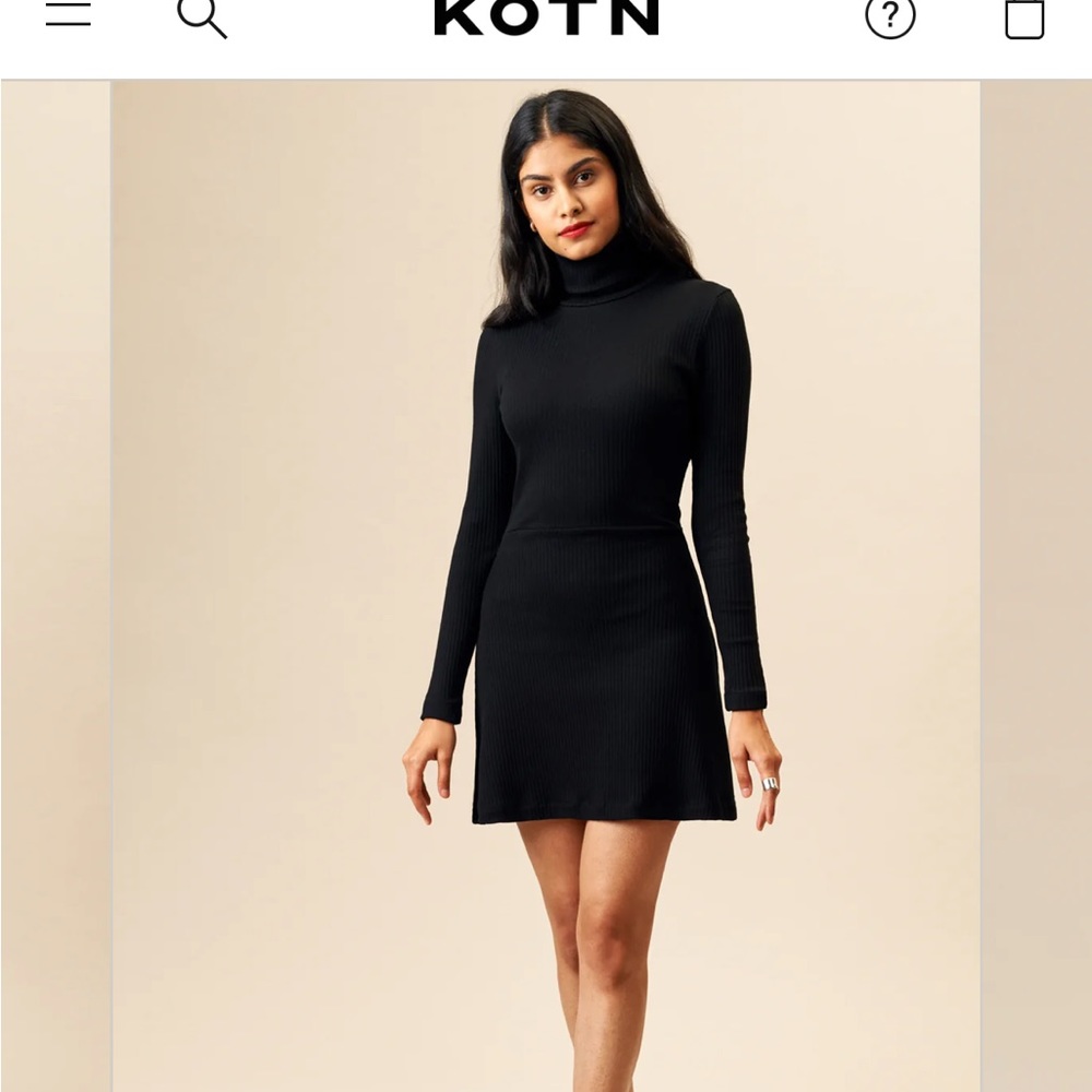 KOTN Turtleneck Mini dress / NWT / size Large!